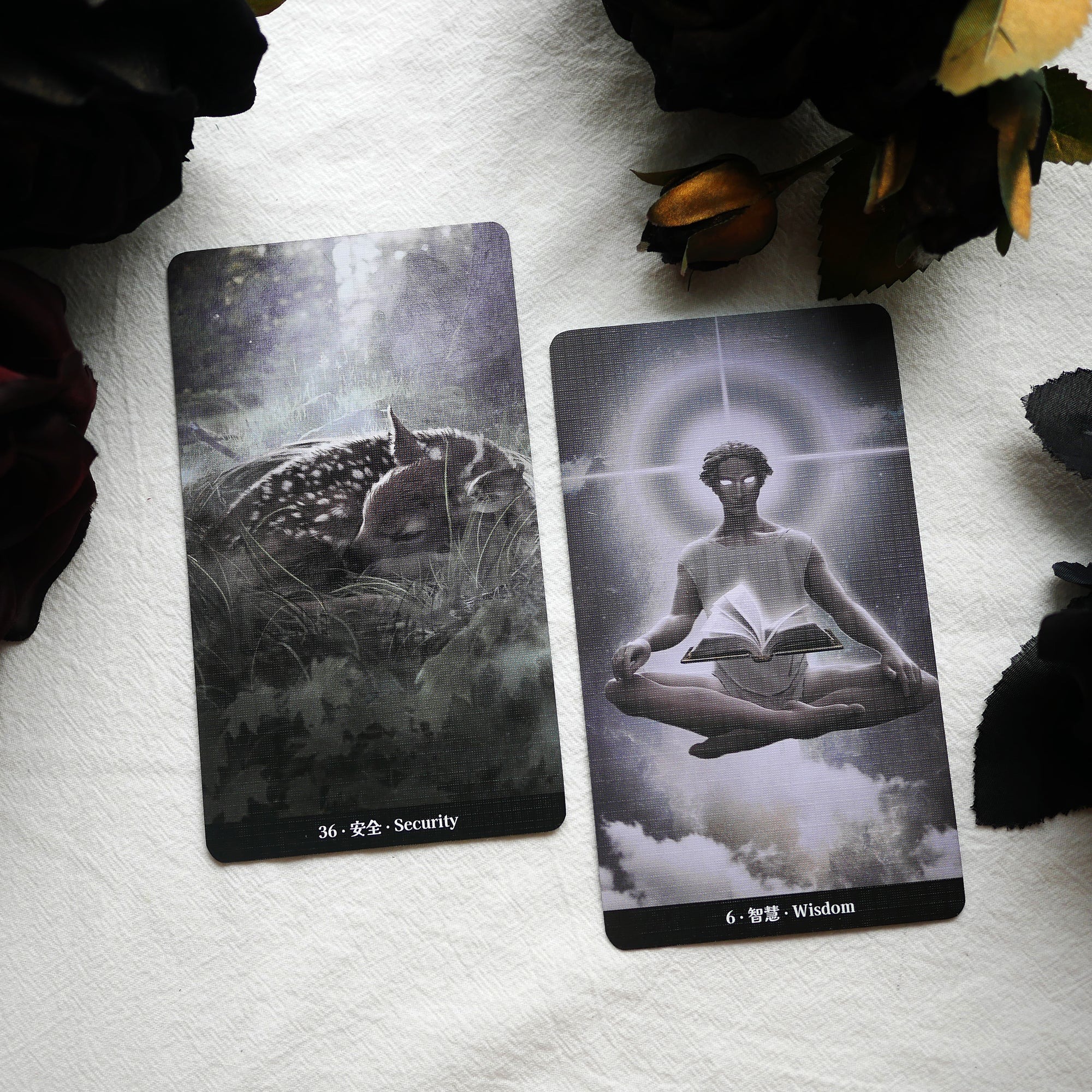 Vast Enlightment Cards 5